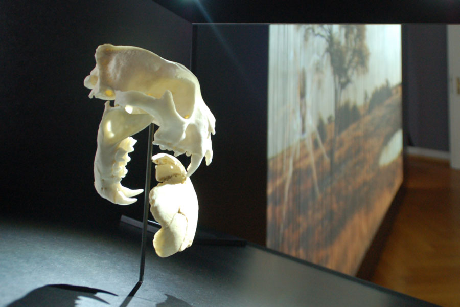 Ausstellungsgestaltung Monrepos