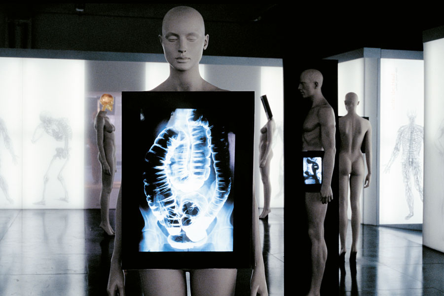 Ausstellungsgestaltung unter die Haut