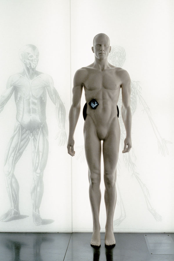 Ausstellungsgestaltung unter die Haut